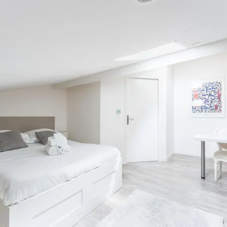 Le Petit Chartreux - Cocon Sous Les Toits Apartment Lyon