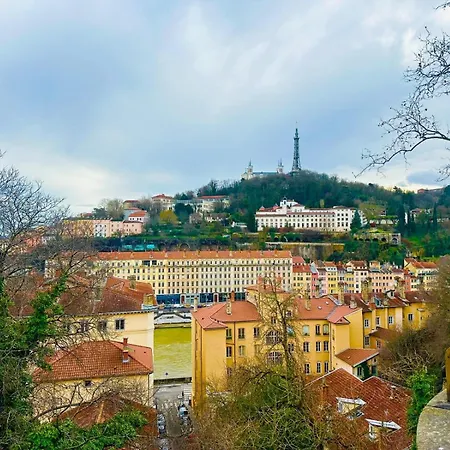 Le Petit Chartreux - Cocon Sous Les Toits * Lyon